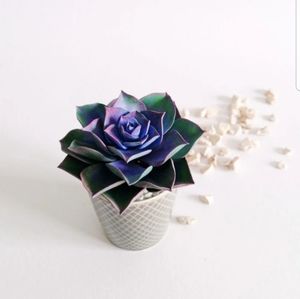 Realistic artificial succulent plant